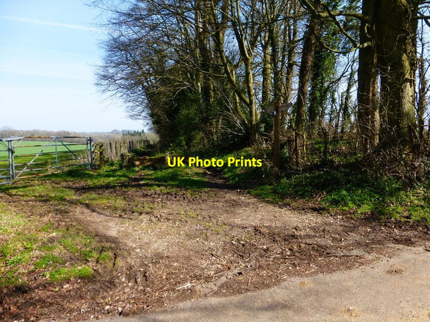 Photo 6"x4" Bridleway leaves road between field and woodland Beech\/SU6938 c2014