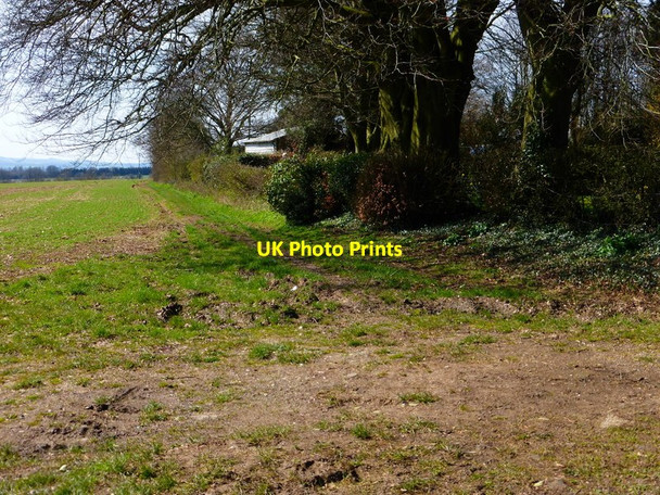 Photo 6"x4" Looking west along footpath on the southern edge of Hattingley Hattingley c2014
