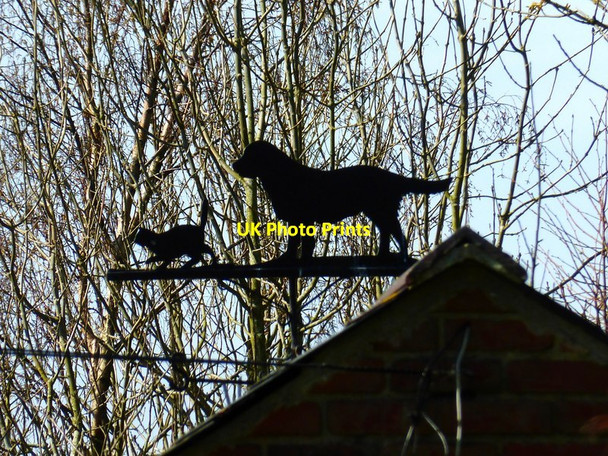 Photo 6"x4" Pets at Heath Green Heath Green\/SU6337 c2014