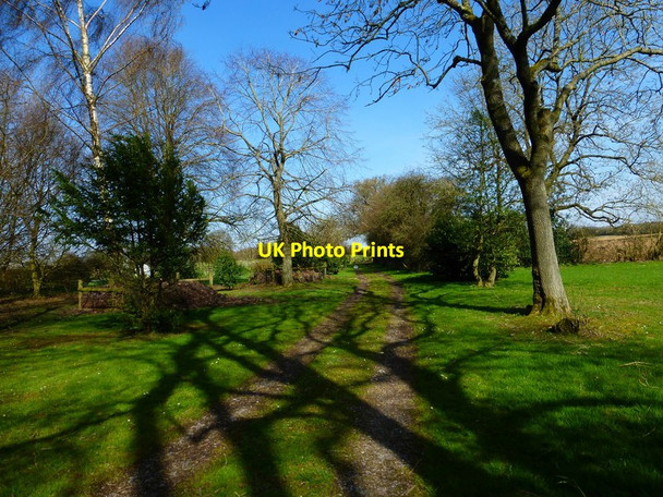 Photo 6"x4" Footpath going north east from Upper Wield Upper Wield c2014
