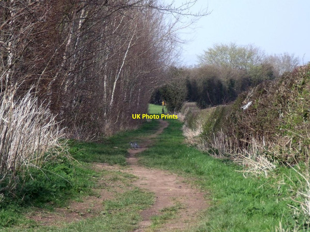 Photo 6"x4" Footpaths to Castle Donington Castle Donington c2014