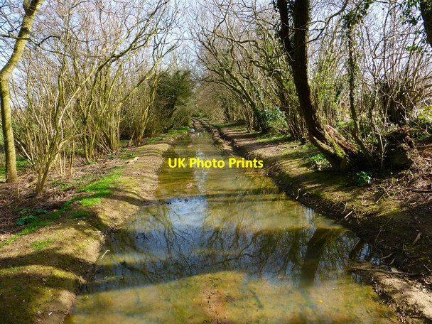 Photo 6"x4" Very waterlogged byway near Upper Wield Lower Wield c2014