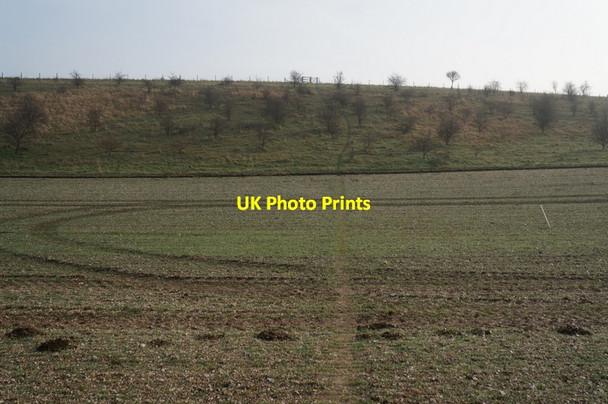 Photo 6"x4" Heading towards West Field near Wetwang Wetwang c2014 P1