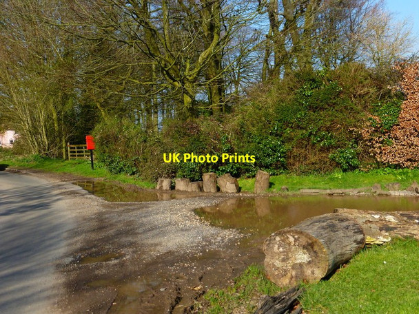 Photo 6"x4" Post box and byway junction on Holt End Lane Holt End\/SU6639 c2014