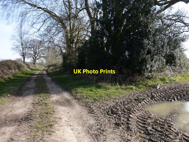 Photo 6"x4" Byway and footpath junction near Holt End Holt End\/SU6639 c2014