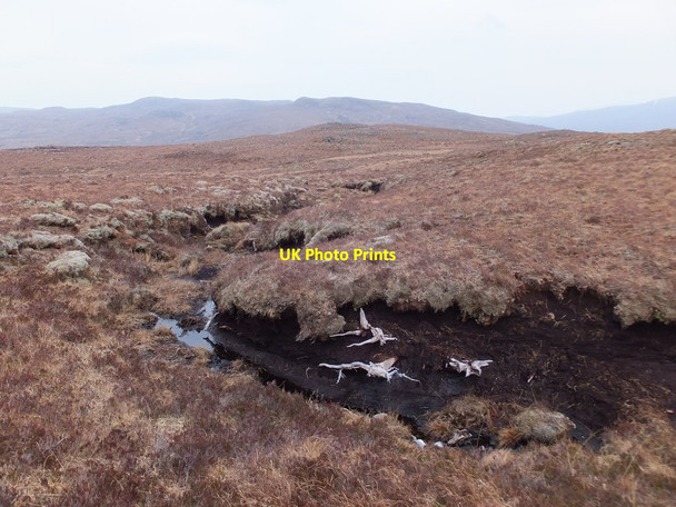 Photo 6"x4" Moorland to east of Creag na Rianaich Coulin Lodge c2014