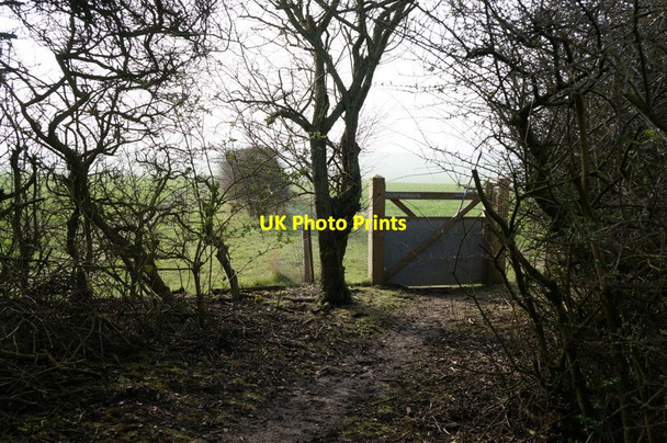 Photo 6"x4" Public bridleway off Green Lane Wetwang c2014