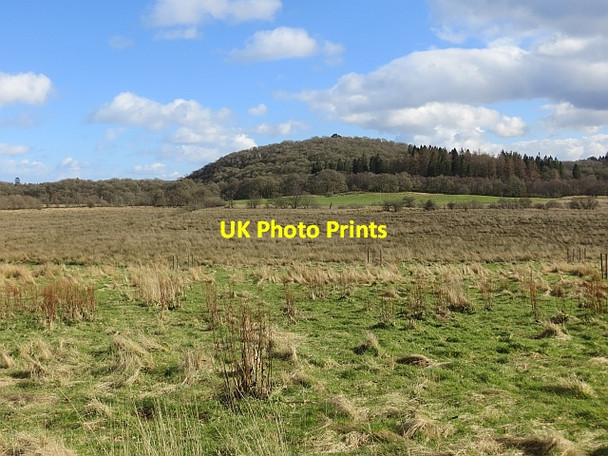Photo 6"x4" Bad Malio Kirkton\/NN5100 c2014