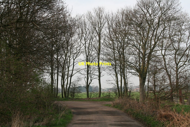 Photo 6"x4" Scawcett Lane West Carr\/SE7407 c2014