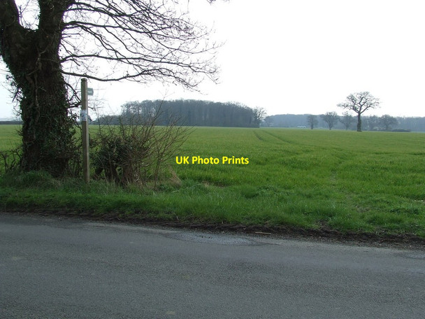 Photo 6"x4" Footpath And Sign Framlingham c2014
