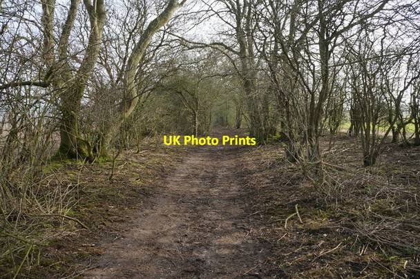 Photo 6"x4" Green Lane (track) towards the B1248 Wetwang c2014