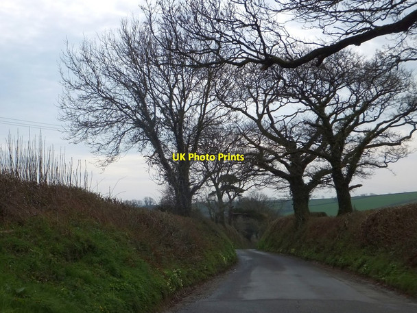 Photo 6"x4" Minor road south-east of Wonton Cross Culverlane c2014