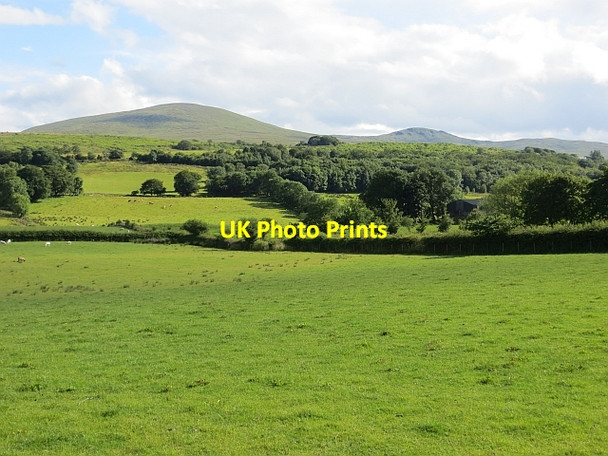 Photo 6"x4" Grassland off Altinure Road Feeny c2013 P1