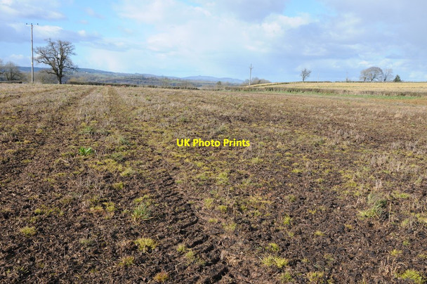 Photo 6"x4" Farmland at Sharpness Sharpness c2014