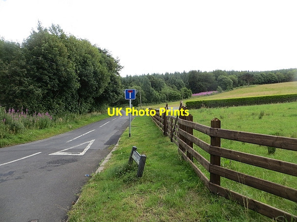 Photo 6"x4" Plantation Road Feeny c2013
