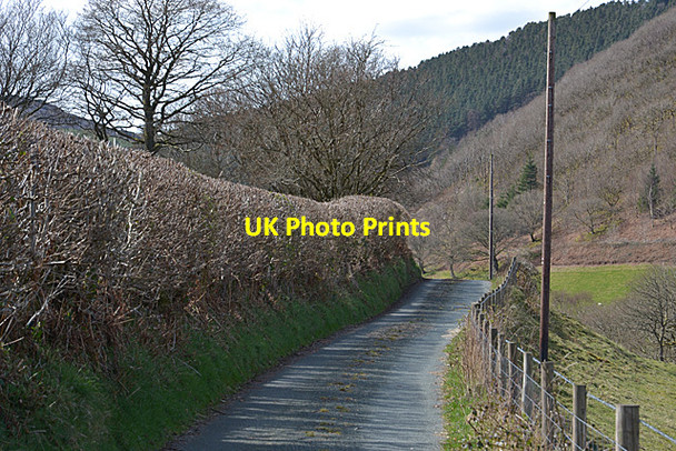 Photo 6"x4" The road up Hengwm Aberhosan c2014