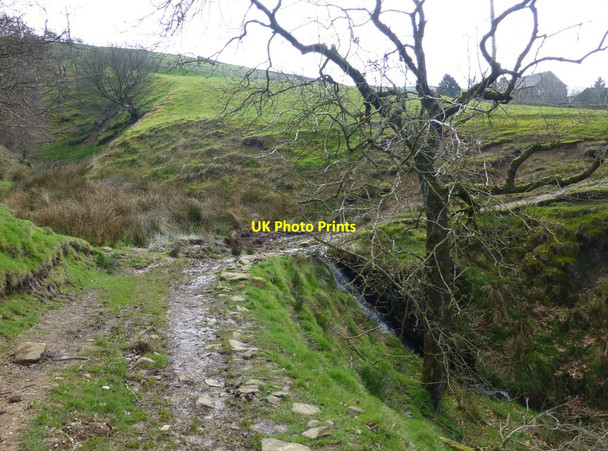 Photo 6"x4" Footpath crosses brook at Wicken's Clough Dobcross c2014