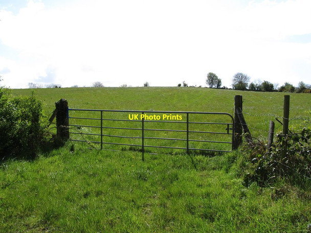 Photo 6"x4" Hay field south of Eshwary Road Kingsmills c2012