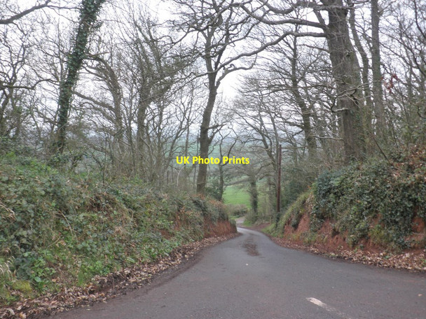 Photo 6"x4" Minor road to Chapel Leigh Northway\/ST1329 c2014