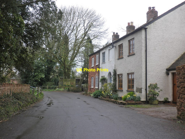 Photo 6"x4" Terraced cottages, Ash Priors Ash Priors c2014