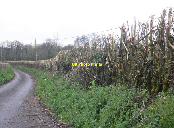 Photo 6"x4" Flailed hedge, Coxland's Rock Northway\/ST1329 c2014