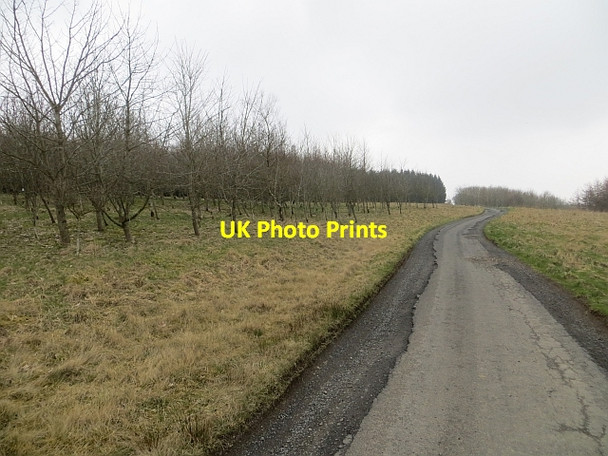 Photo 6"x4" Road to Broughtonknowe Kaimrig End c2014