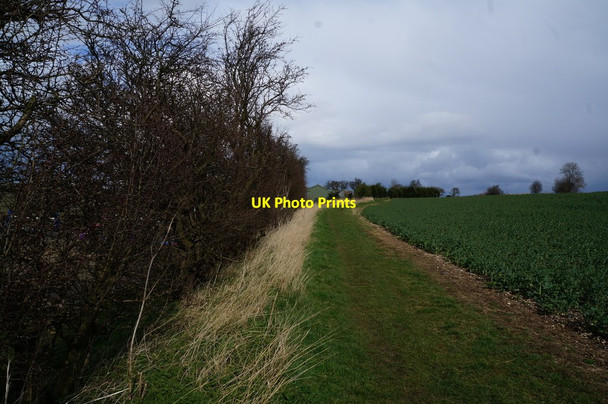 Photo 6"x4" Yorkshire Wolds Way towards Warren Farm Millington c2014