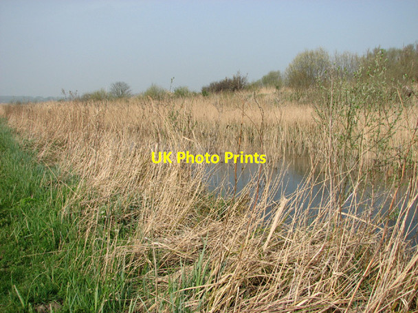 Photo 6"x4" Drainage ditch in Carlton Marshes nature reserve Oulton Broad c2014