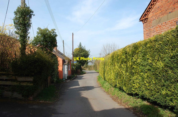 Photo 6"x4" Lane at Trimpley, Worcs Holbeache c2014