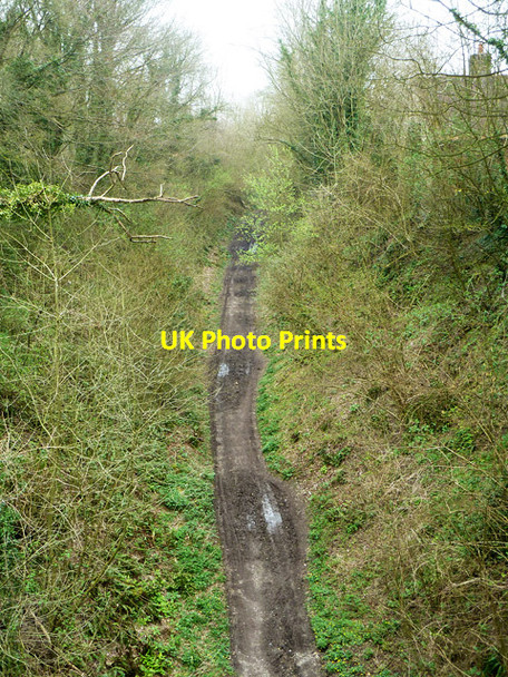 Photo 6"x4" Deep cutting, former Meon Valley line Warnford c2014