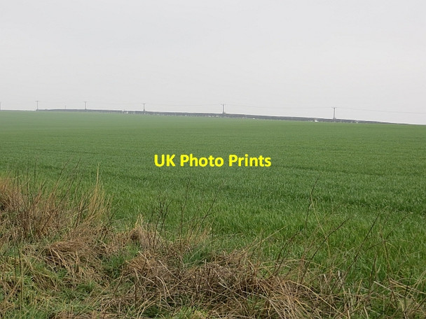 Photo 6"x4" Winter cereals Prestonpans c2014