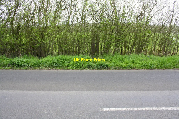 Photo 6"x4" Old gatepost in hedge beside road into Chalgrove Chalgrove c2014