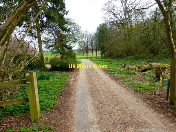 Photo 6"x4" Footpath goes through gateway in Bighton Wood Bighton c2014