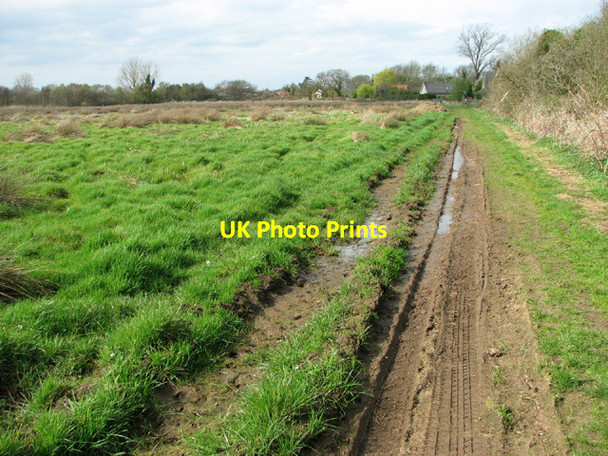 Photo 6"x4" Footpath in South Fen East Ruston c2014
