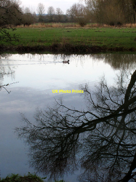 Photo 6"x4" Disturbing the calm Oxford\/SP5106 c2014
