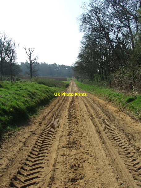 Photo 6"x4" Long Sandy Track Sutton\/TM3045 c2014