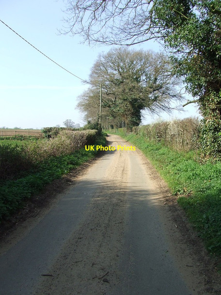 Photo 6"x4" Country Lane Shottisham c2014