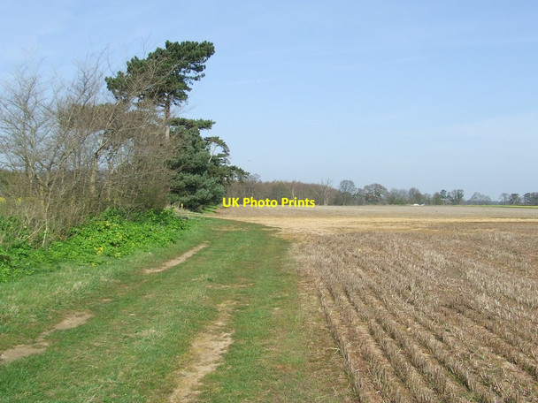 Photo 6"x4" Fields And Footpath Sutton\/TM3045 c2014