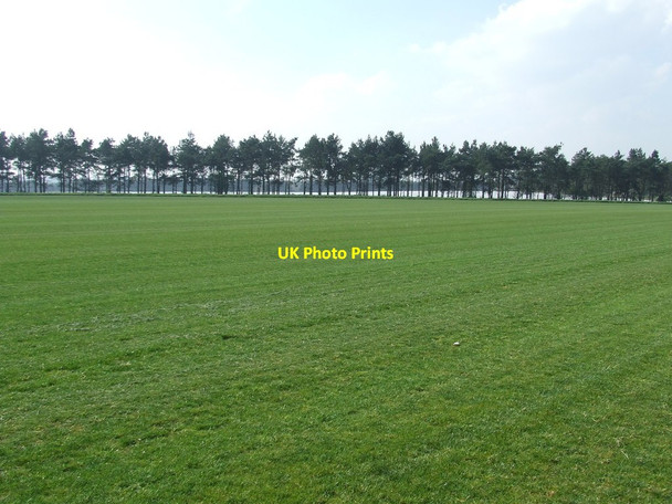 Photo 6"x4" Field Of Turf Bromeswell c2014