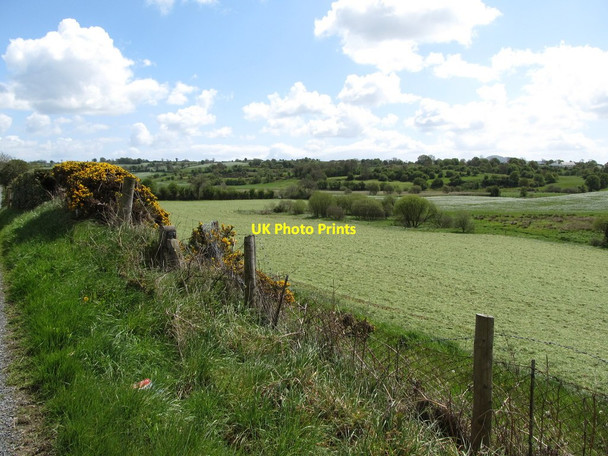 Photo 6"x4" Mown meadow south of the Kingsmill Road Kingsmills c2012