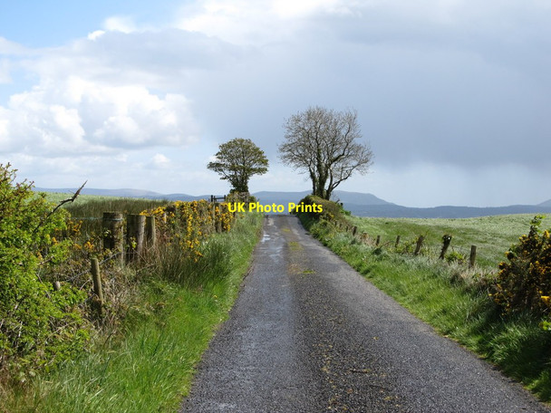 Photo 6"x4" View SSE along Derrywilligan Road Kingsmills c2012