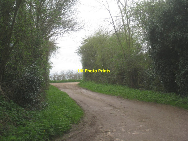 Photo 6"x4" Hindley Lane Tickhill\/SK5993 c2014