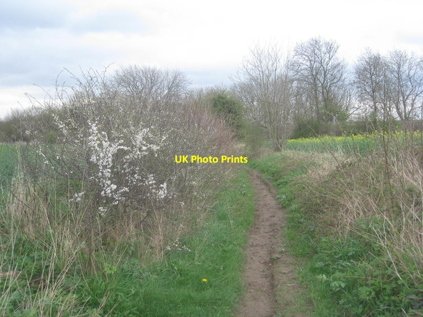 Photo 6"x4" Broad Oak Lane Tickhill\/SK5993 c2014