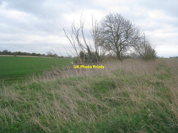 Photo 6"x4" Graystone Lane Stainton\/SK5593 c2014
