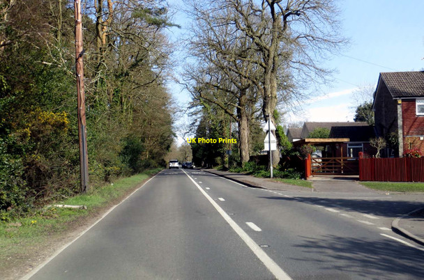 Photo 6"x4" Nine Mile Ride in Crowthorne Heathlands\/SU8265 c2014