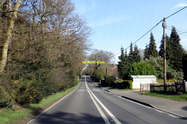 Photo 6"x4" Nine Mile Ride in Crowthorne Heathlands\/SU8265 c2014
