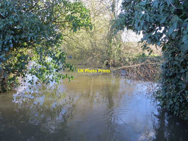 Photo 6"x4" Brook towards the mill Wallingford c2014