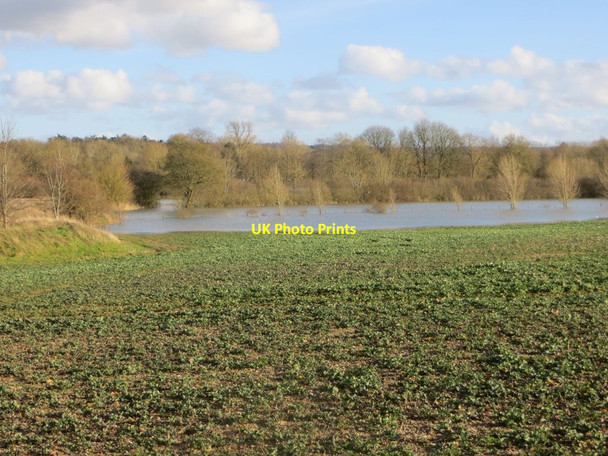Photo 6"x4" The Thames in Flood North Stoke\/SU6186 c2014