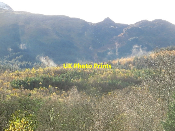 Photo 6"x4" Loch Ard Forest Kinlochard c2013