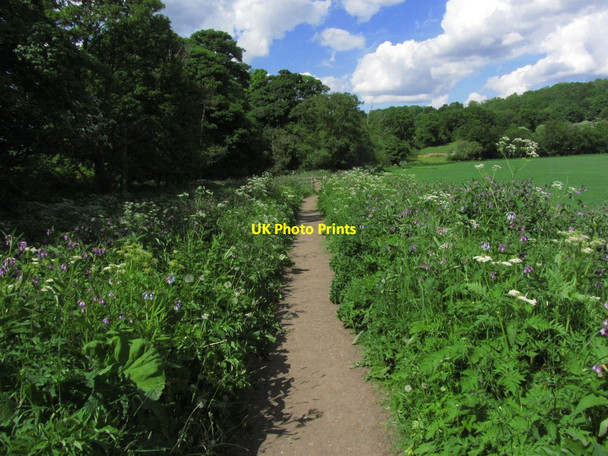 Photo 6"x4" Clyde Walkway E of Crossford - View N Nethanfoot c2013